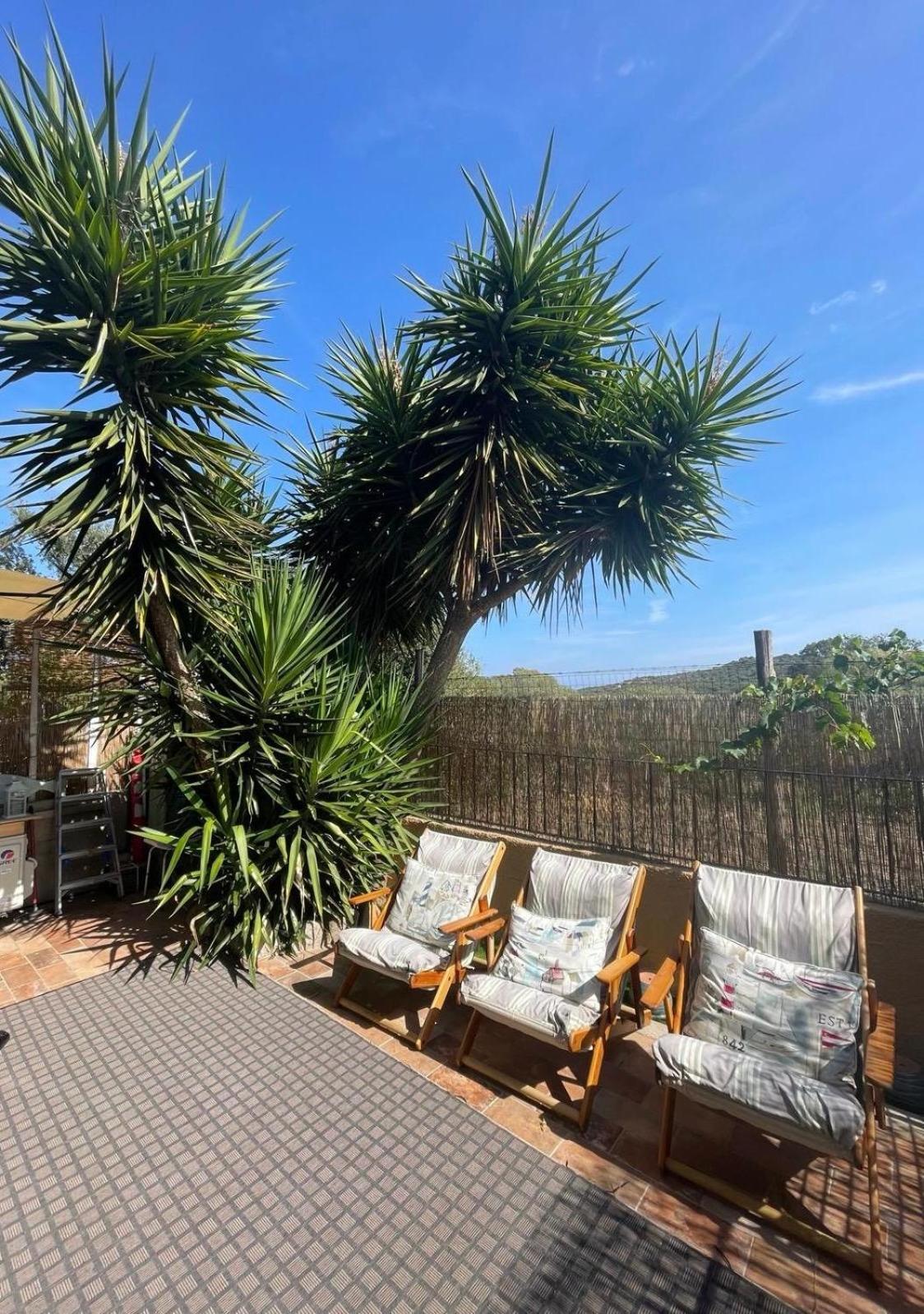 Ferienwohnung Yucca Olbia Exterior foto